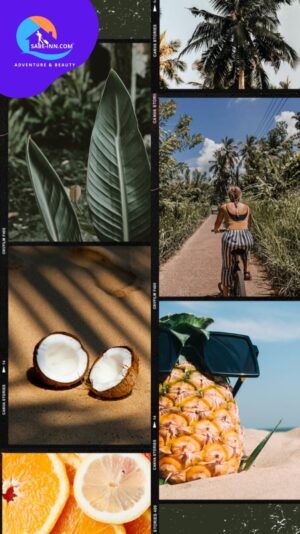 WhatsApp Image 2025-08-20 at 2.28.09 PM (1)