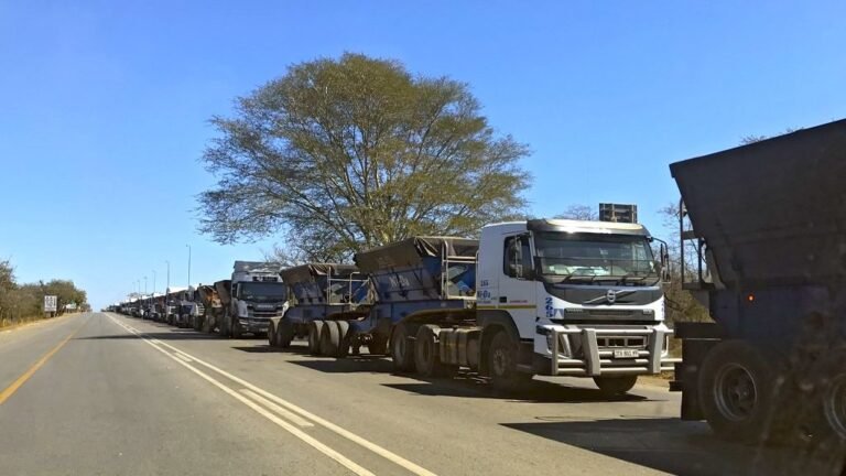 Autoridades sul-africanas pedem suspensão temporária de transporte de minérios para o porto de Maputo