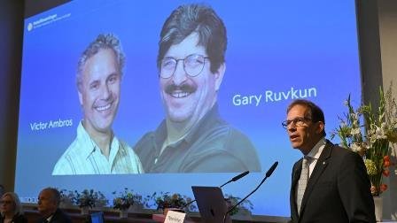 Prémio Nobel da Medicina vai para Victor Ambros e Gary Ruvkun