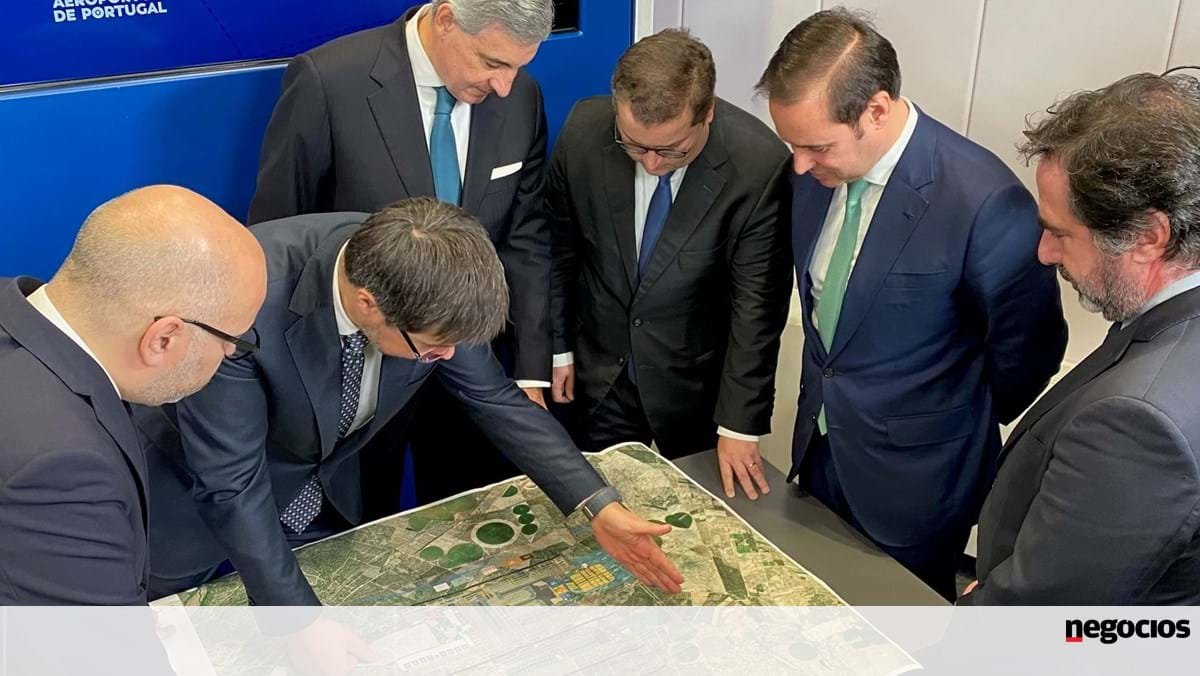 ANA vai consultar interessados na TAP sobre novo aeroporto - Aviação