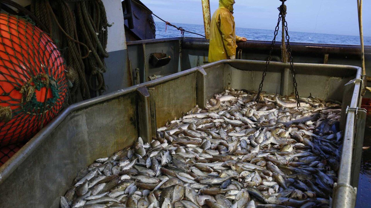 Cabo Verde Prevê Reactivar Plataforma de Pescado • Diário Económico