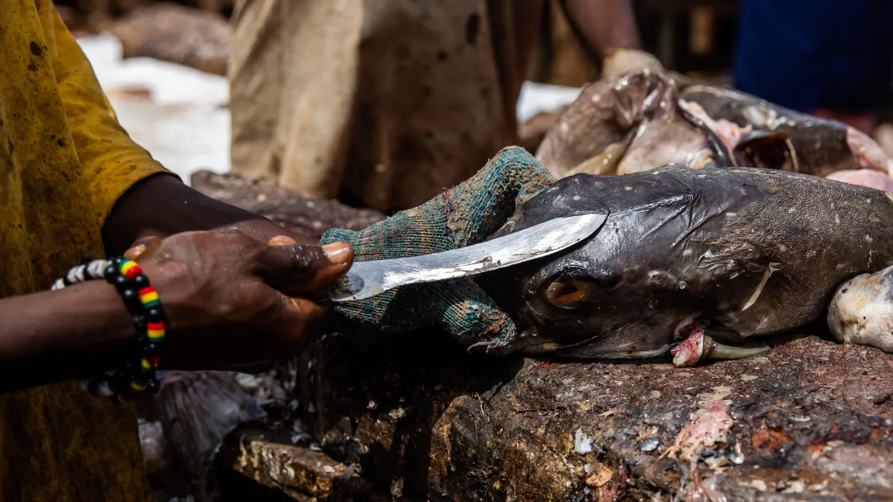 Governo de Luanda encerra principal mercado de peixe devido a riscos de cólera