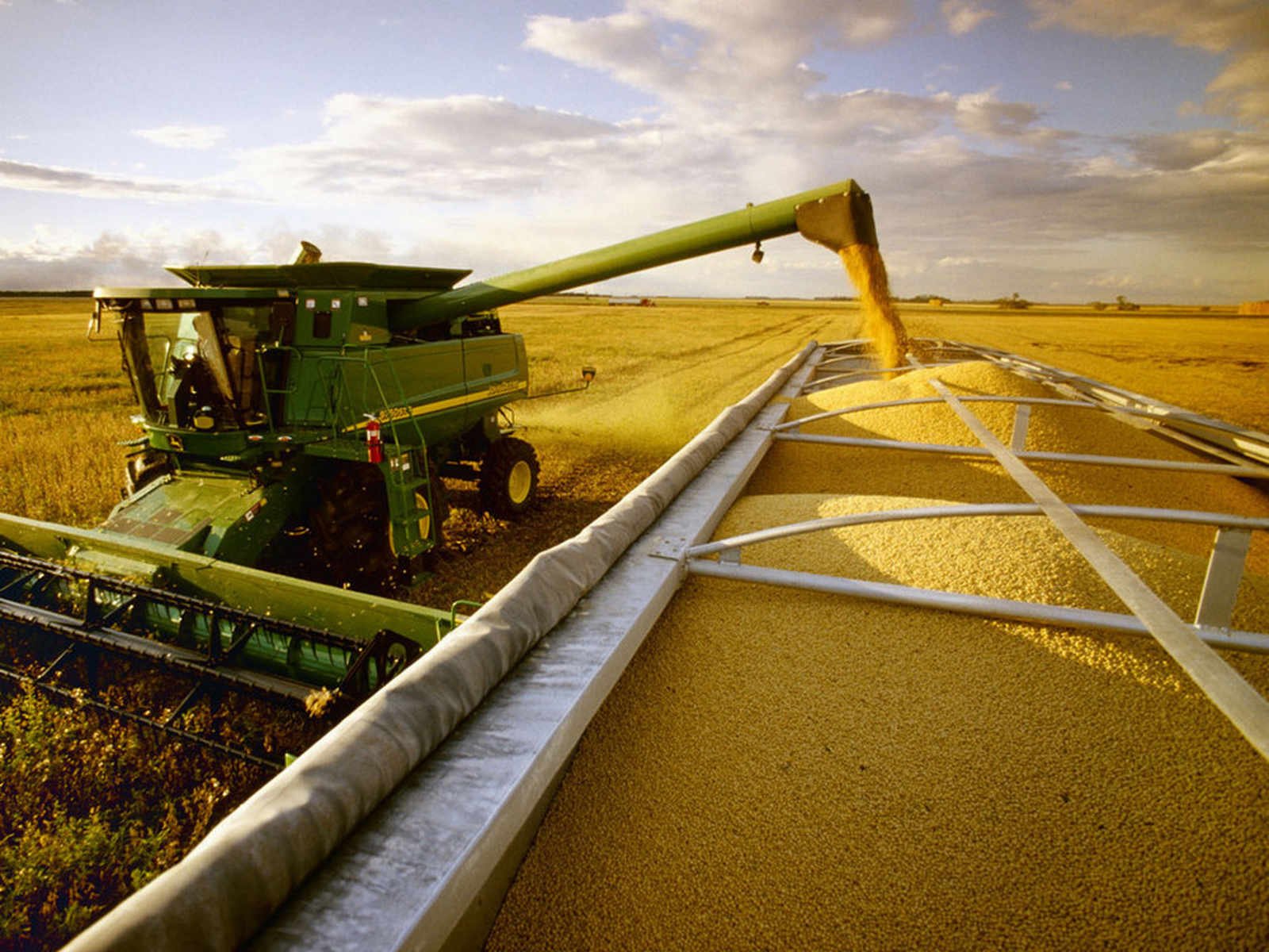 Importações de Arroz Registaram Aumento de Mais de 1,5 MM$ no 3.º Trimestre de 2024 • Diário Económico