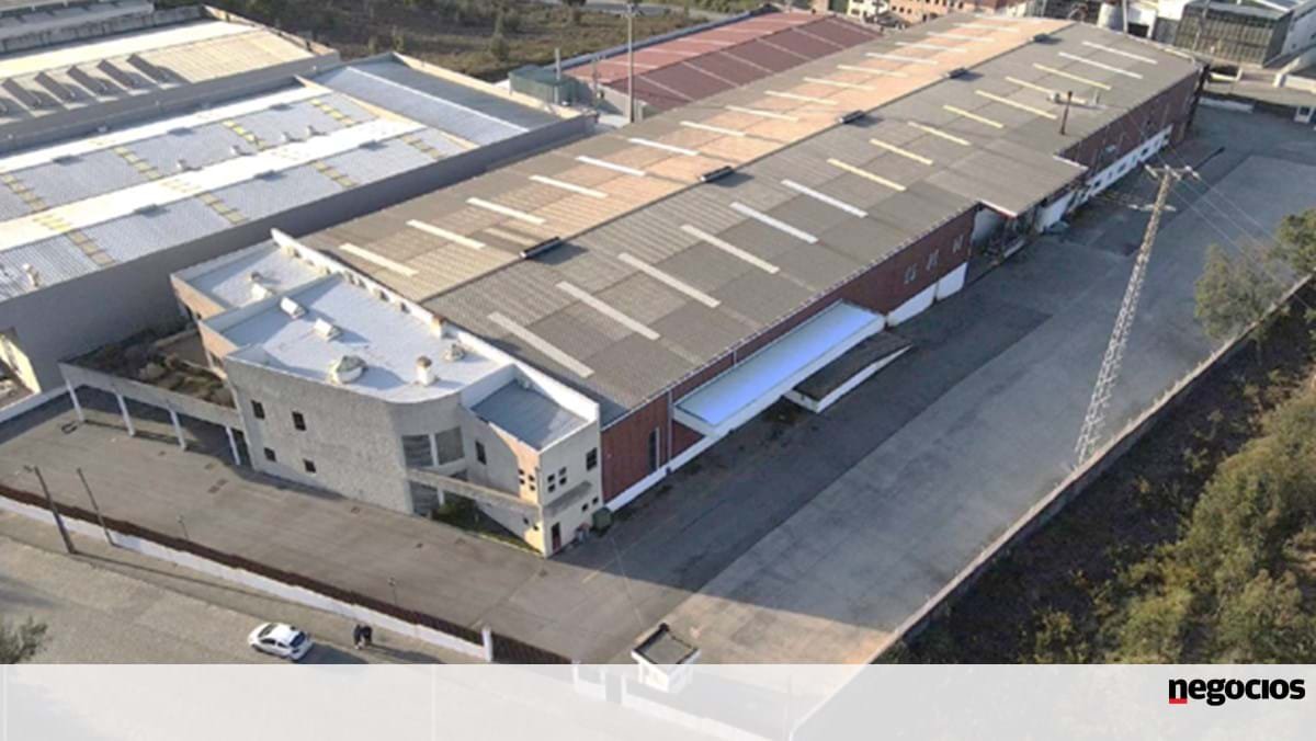 Italianos investem 10 milhões e criam 100 empregos numa fábrica em Paços de Brandão - Indústria