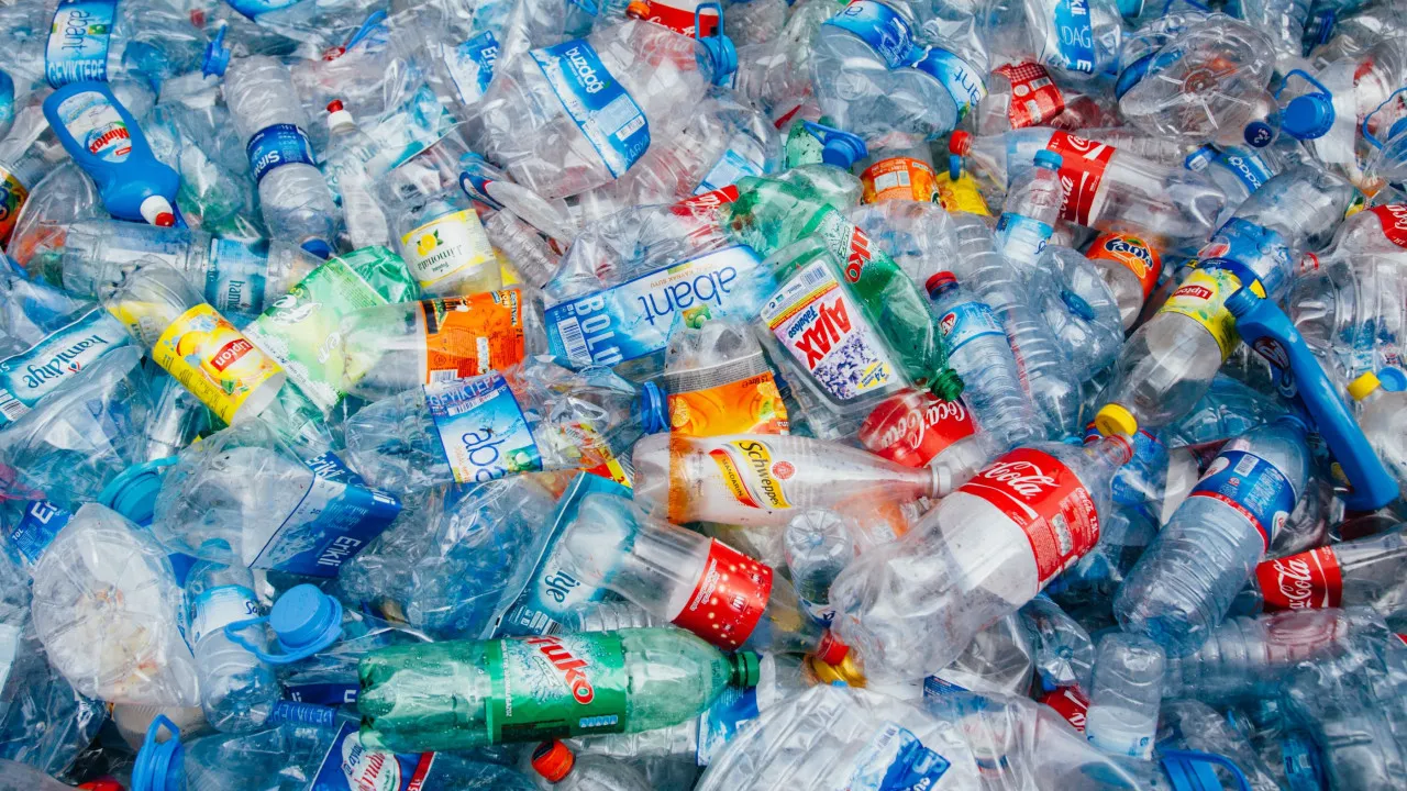 Lipor recolheu mais de 69 mil toneladas de vidro, papel, metal e plástico