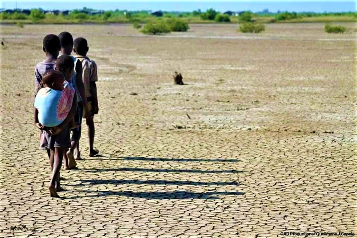 Muitos países ainda sem planos de combate as alterações climáticas