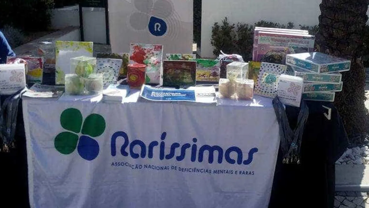 Segurança Social e Raríssimas acordam "tentar salvar" apoio aos utentes