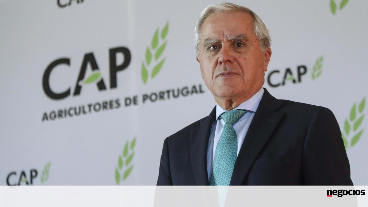 CAP exige ao Governo que proteja fileira do vinho face a guerra de tarifas - Empresas