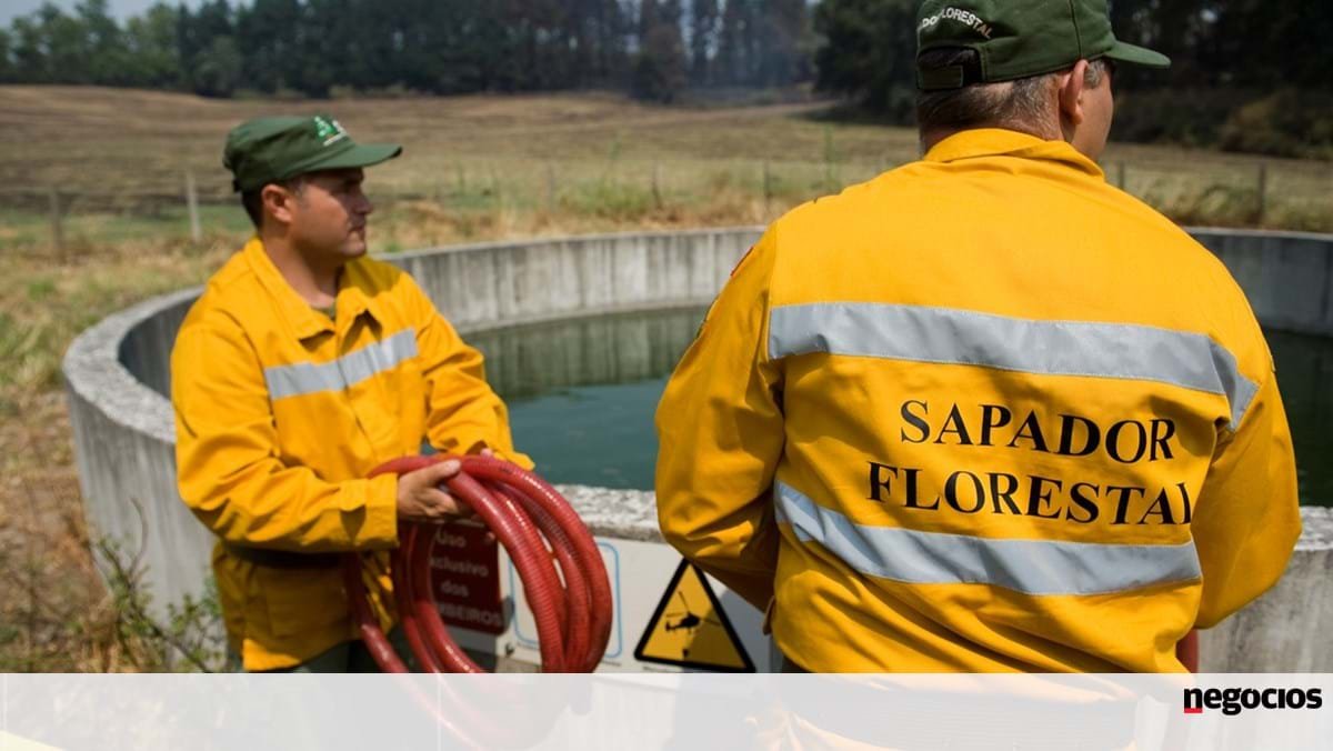 Fundo Ambiental dá 150 milhões para sapadores florestais até 2028 - Ambiente