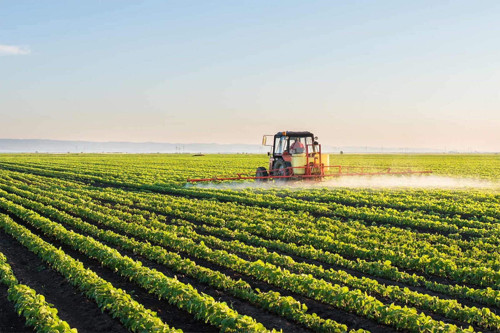 Innscor Africa Investe Mais de 10 Milhões de Dólares no Sector Agrícola • Diário Económico