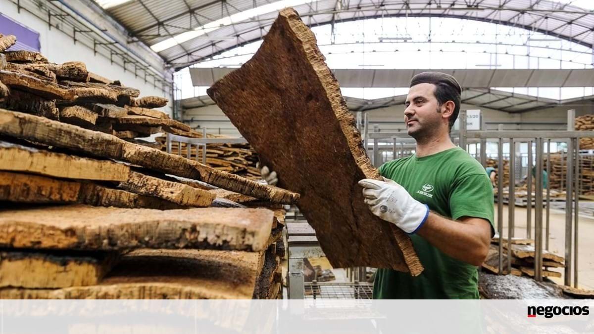 Corticeira Amorim propõe dividendos de 42,5 milhões aos acionistas em assembleia-geral - Indústria
