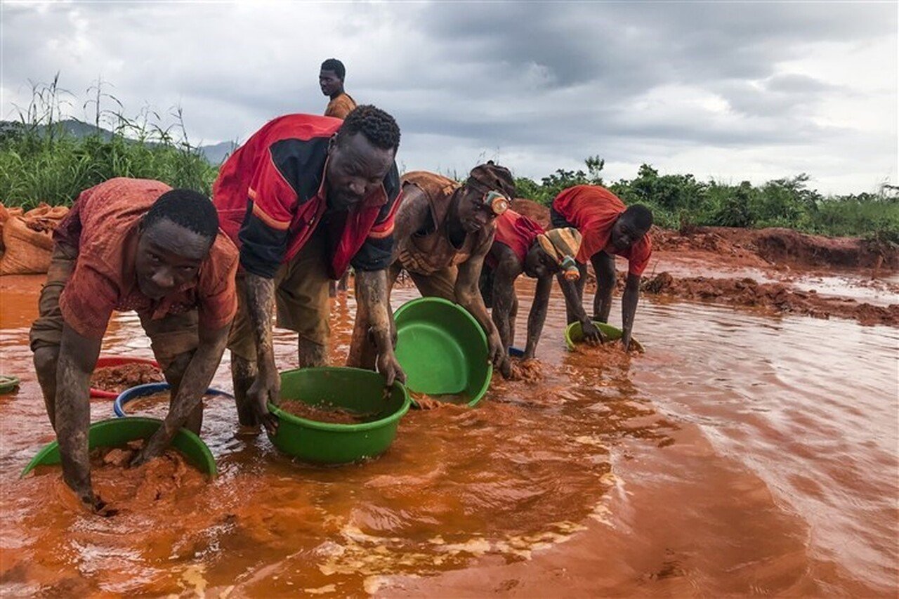 Governo Pondera Integrar Mineradores Ilegais Para Proteger Parque Nacional • Diário Económico