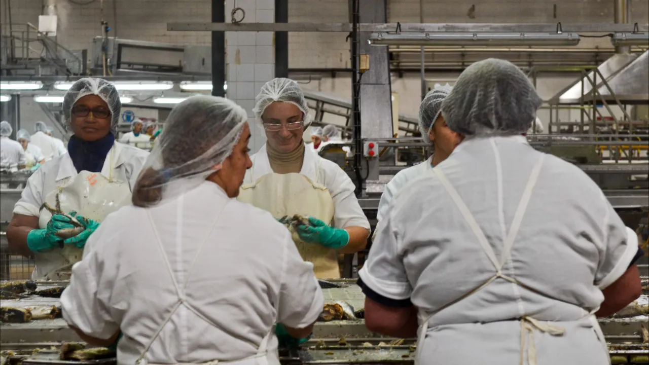 Greve na maior conserveira de peixe de Peniche com adesão de 7%