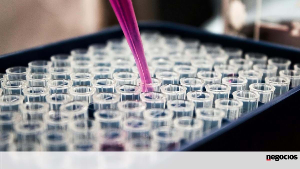 Portuguesa Lxbio quer levantar 10 milhões em nova ronda de financiamento - Empresas