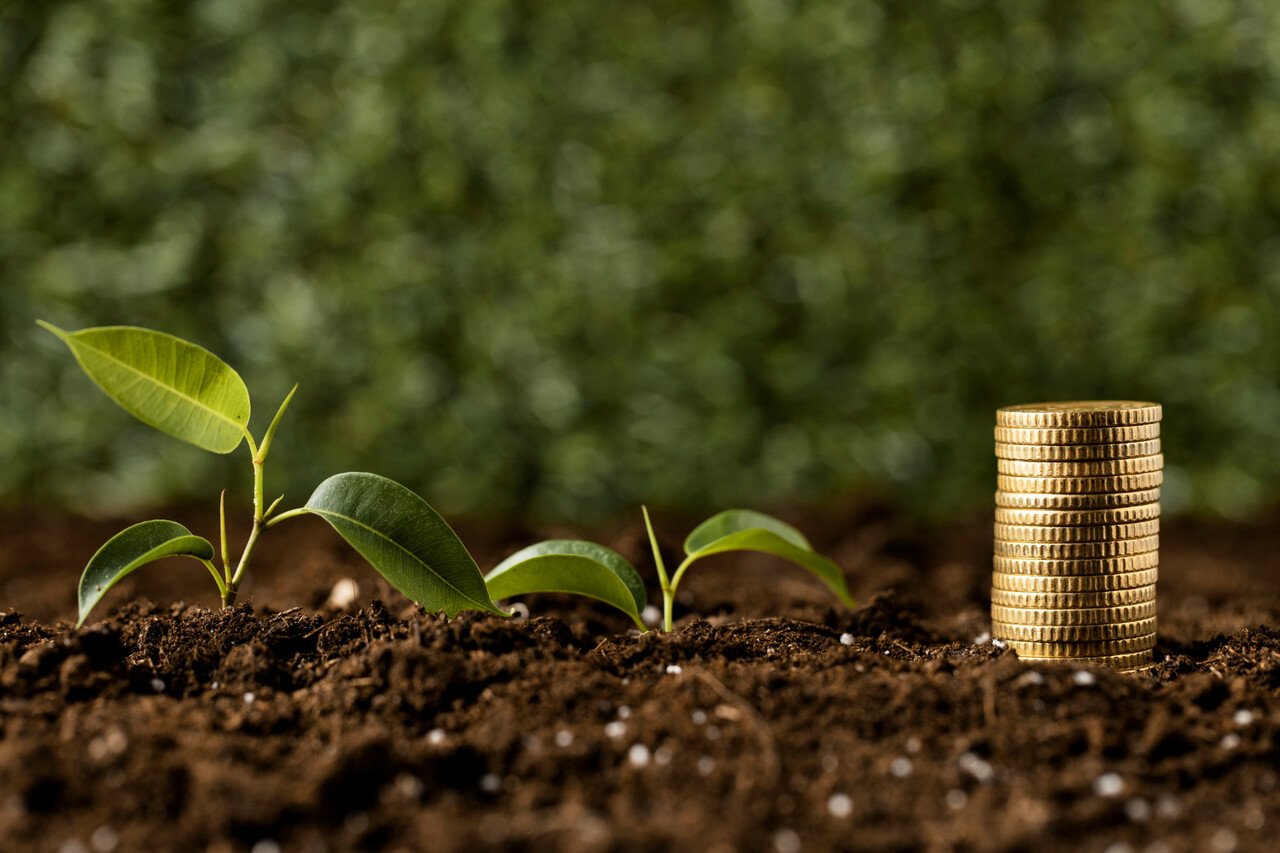Primeira-Dama Entrega 100 Mil Dólares Para Financiar PME do Sector do Agro-Negócio • Diário Económico
