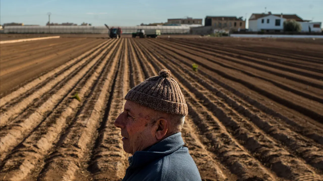 Tarifas? Cooperativas agrícolas propõem criação de fundo de emergência