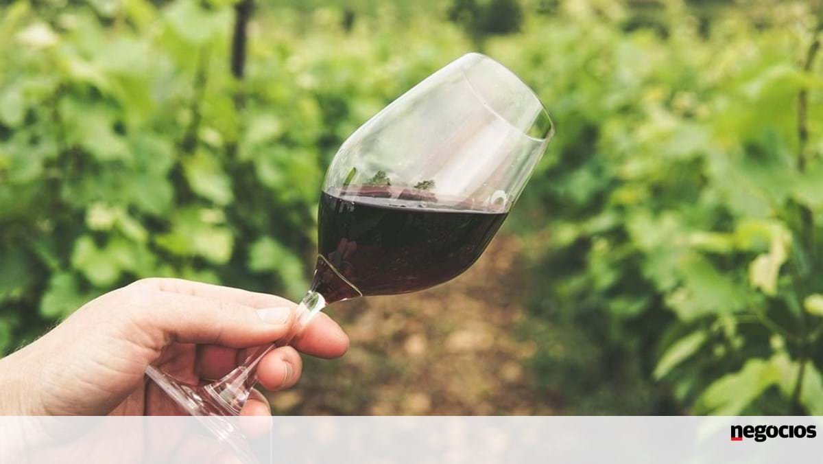 Tarifas: EUA param encomendas de vinhos portugueses e da Europa - Vinho