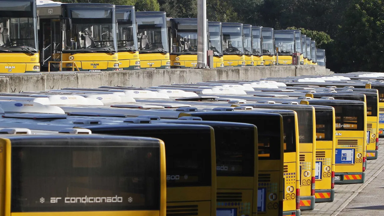 Carris quer novo plano para melhorar transportes em Lisboa até 2030