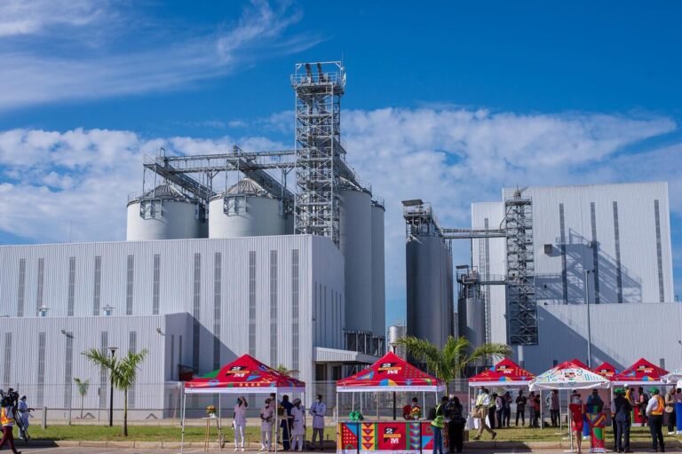 CDM Regista "Aumento Expressivo" de 195,7% Nos Lucros em 2024, Atingindo 27 Milhões de Dólares • Diário Económico
