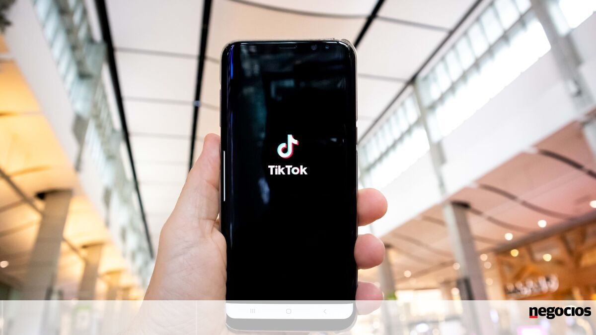 Dona do Facebook e TikTok contestam taxas da Lei dos Serviços Digitais - Redes Sociais