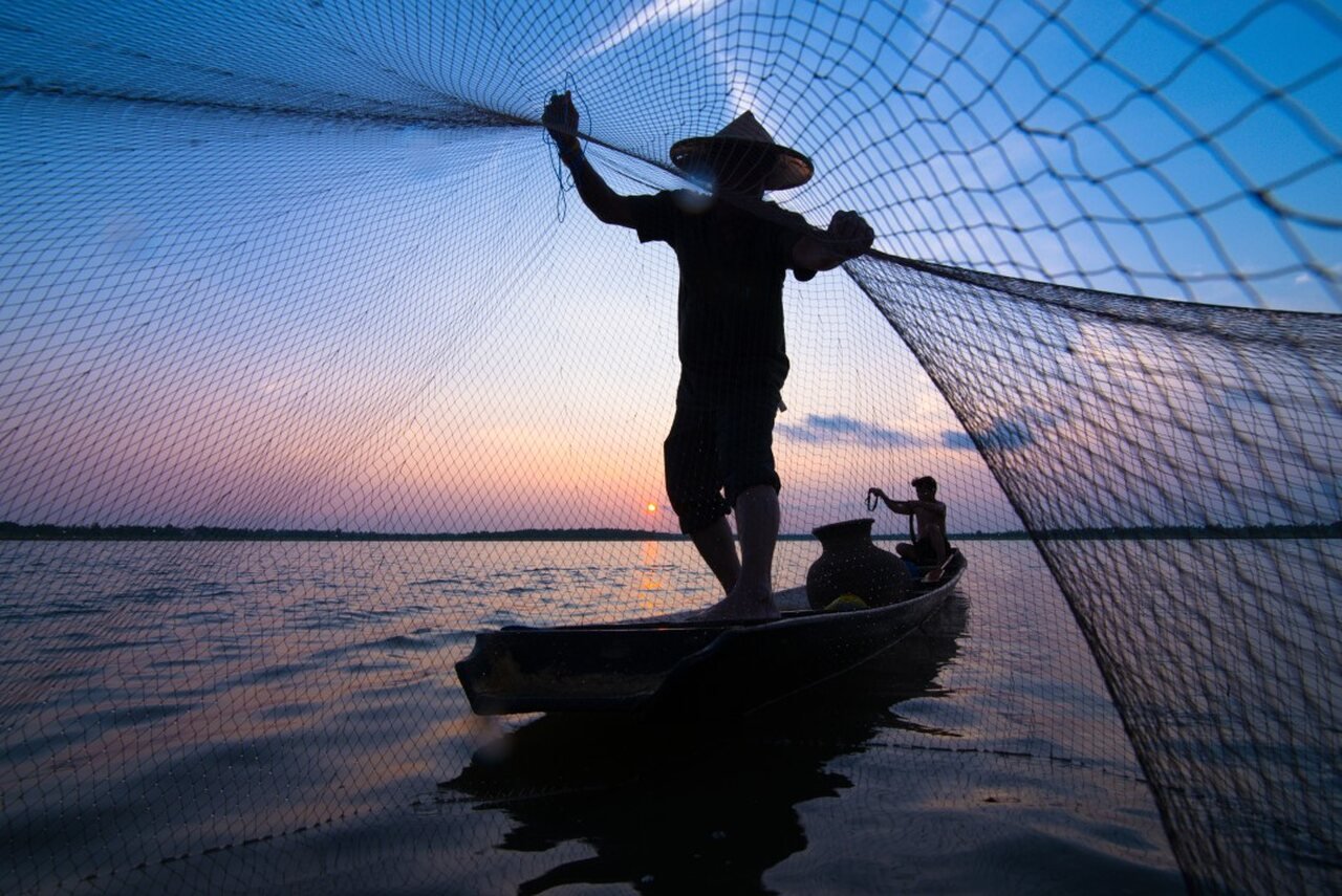 Governo Lança Concurso Internacional Para Plataforma de Pescado na Ilha de São Vicente • Diário Económico