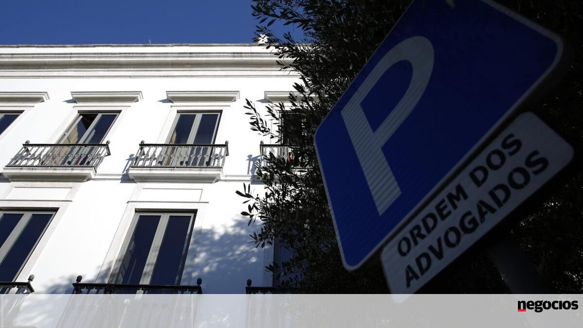 Presidente da CPAS: "Vamos reforçar o subsídio de maternidade" para advogadas e solicitadoras - Justiça