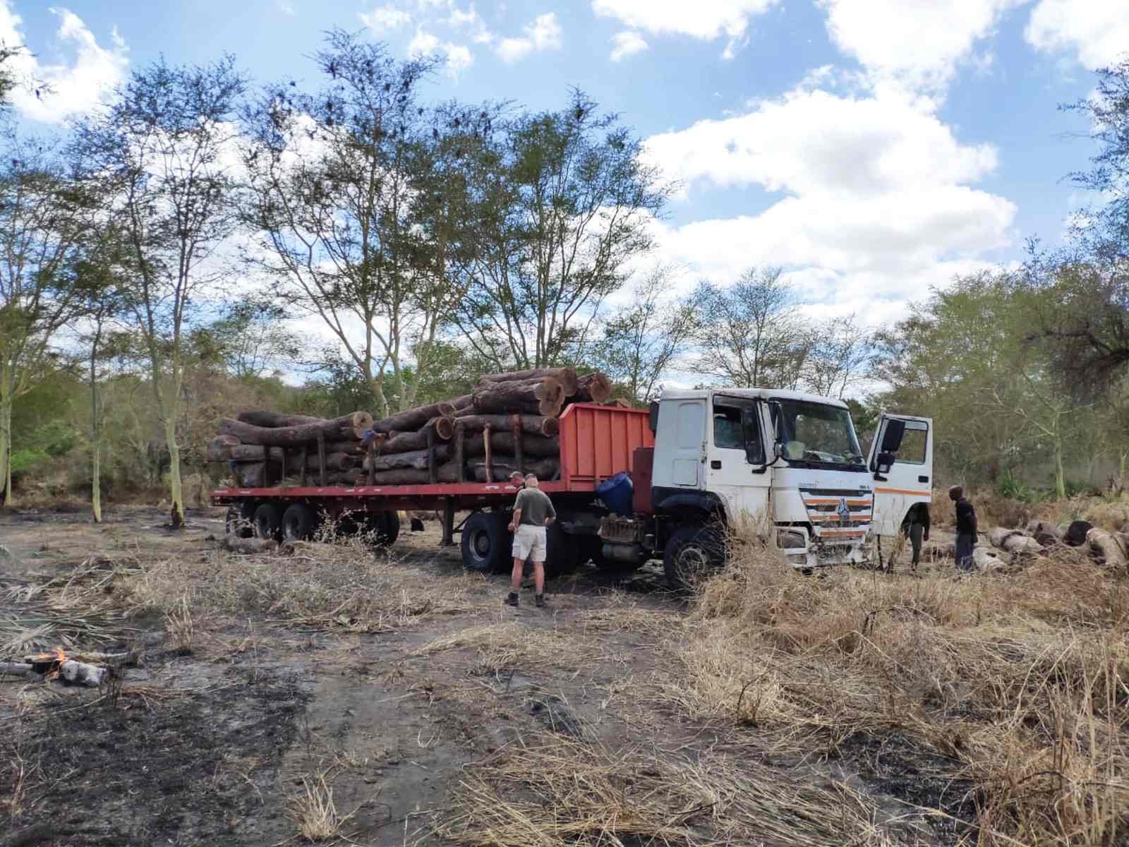 Autoridades Implementam Plataforma Digital Para Gestão e Controlo de Floresta • Diário Económico