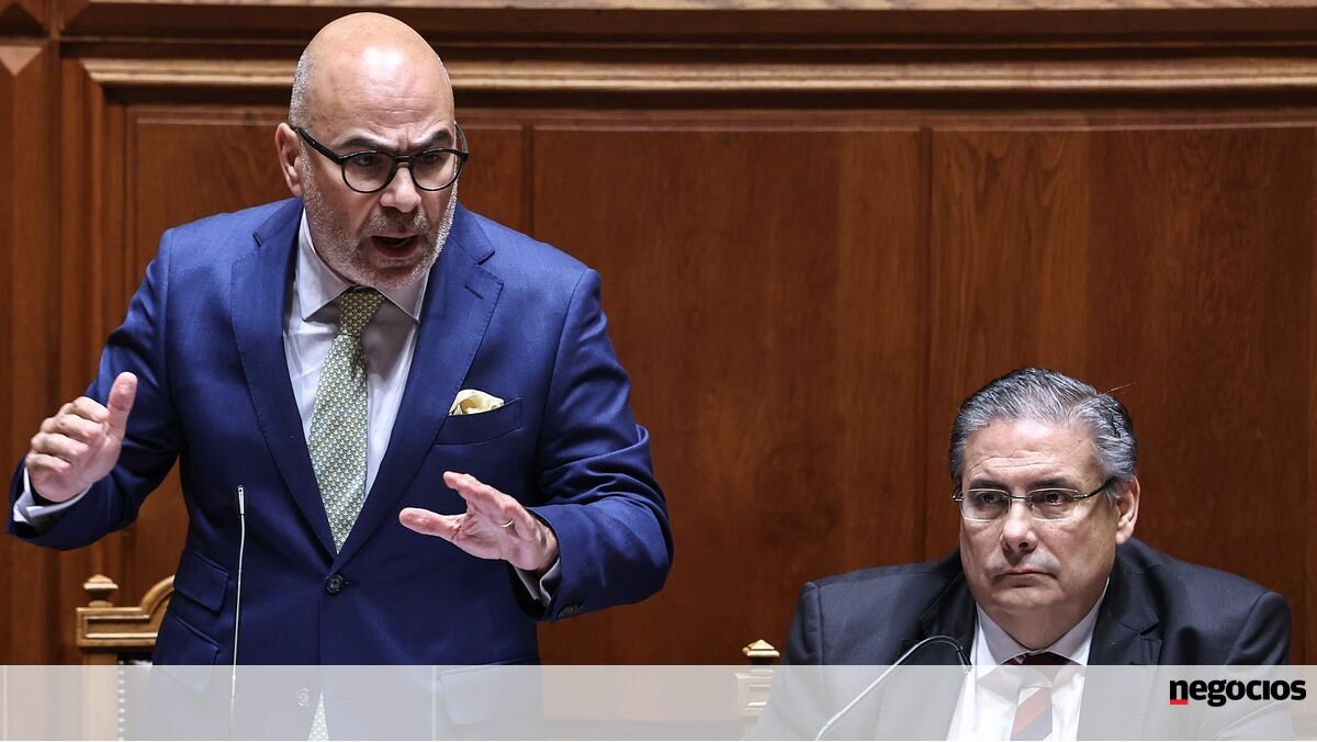 "TAP não sobrevive se se mantiver pública", garante Pinto