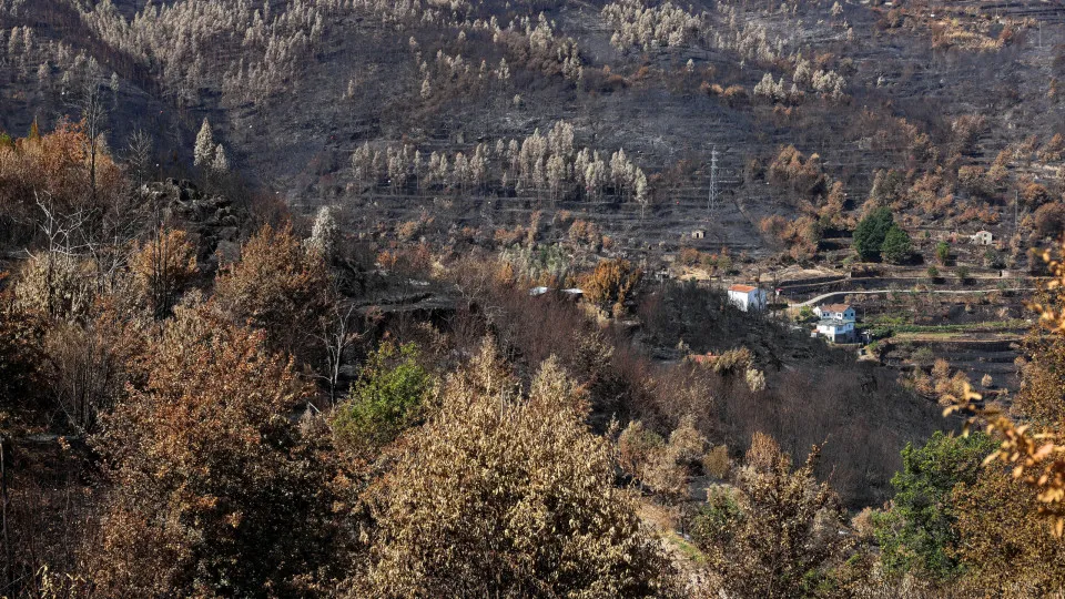 Turismo com "cancelamentos massivos" após fogos aguarda