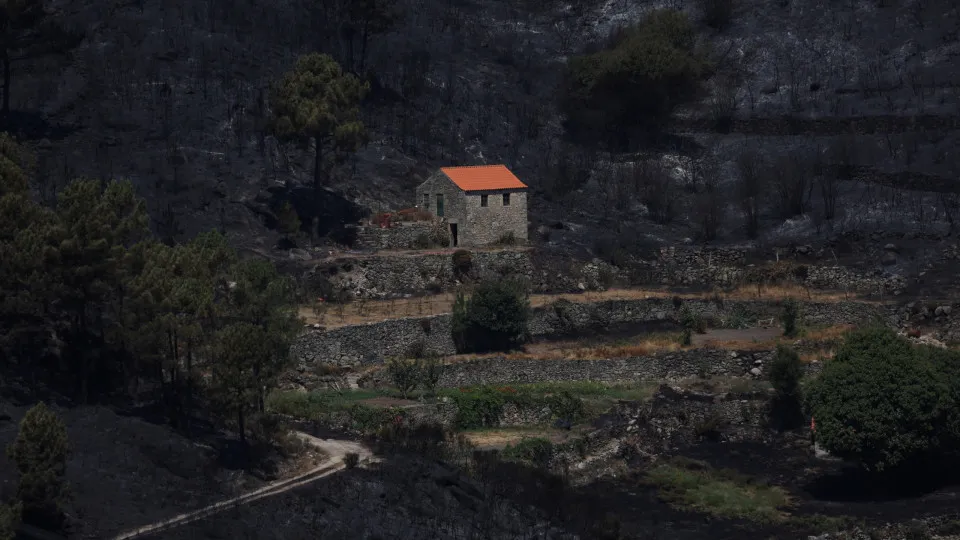 Apoios do Governo após fogos? Eis as freguesias (e as datas)