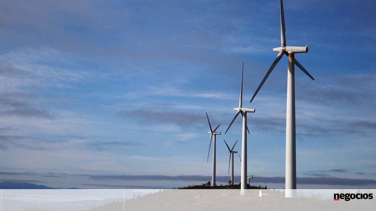 Administração Trump trava construção de parque eólico