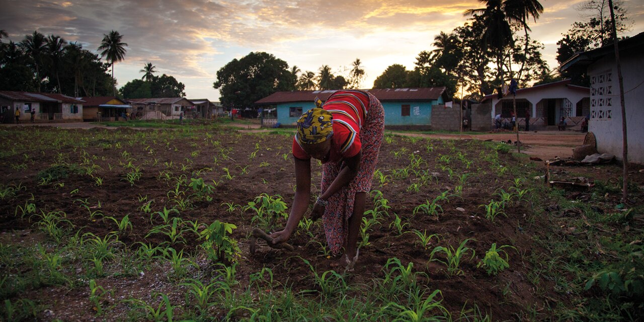 Alemanha Apoia Empreendedorismo Feminino Com 50 Milhões de...