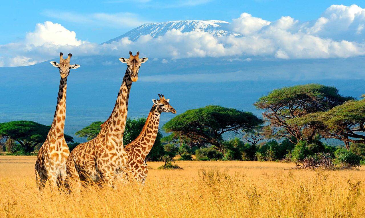 Banco Mundial Coloca Cabo Verde, Botsuana e Maurícia Entre...