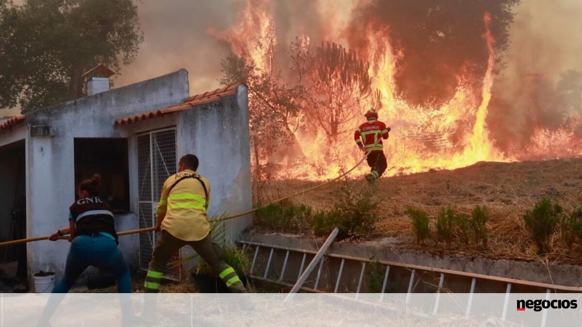 Diploma com apoios às populações e empresas afetadas pelos