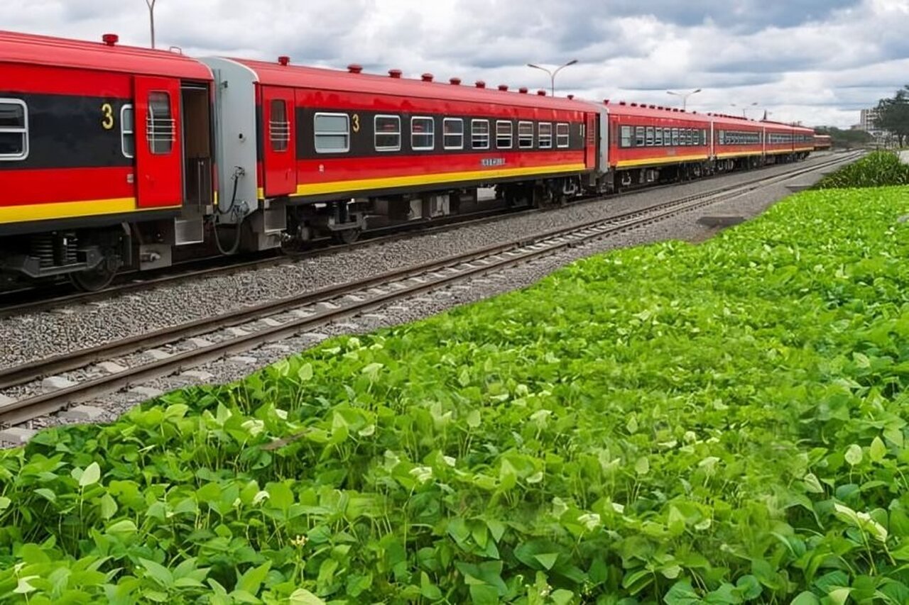 Japão Disponibiliza 6,5 M$ Para Melhorias de Infra-Estruturas de Pequenos Agricultores no Corredor do Lobito • Diário Económico