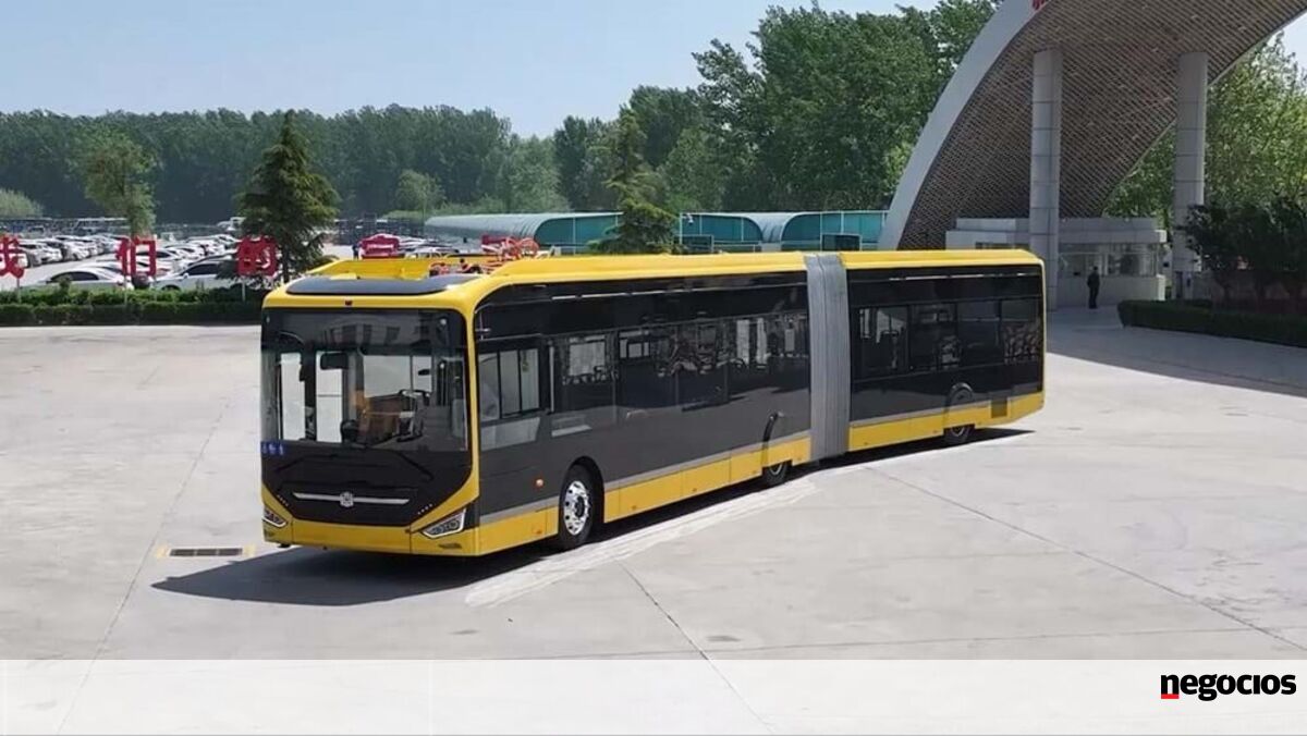 Metrobus ser uma moda "é um risco" à sua boa implementação,