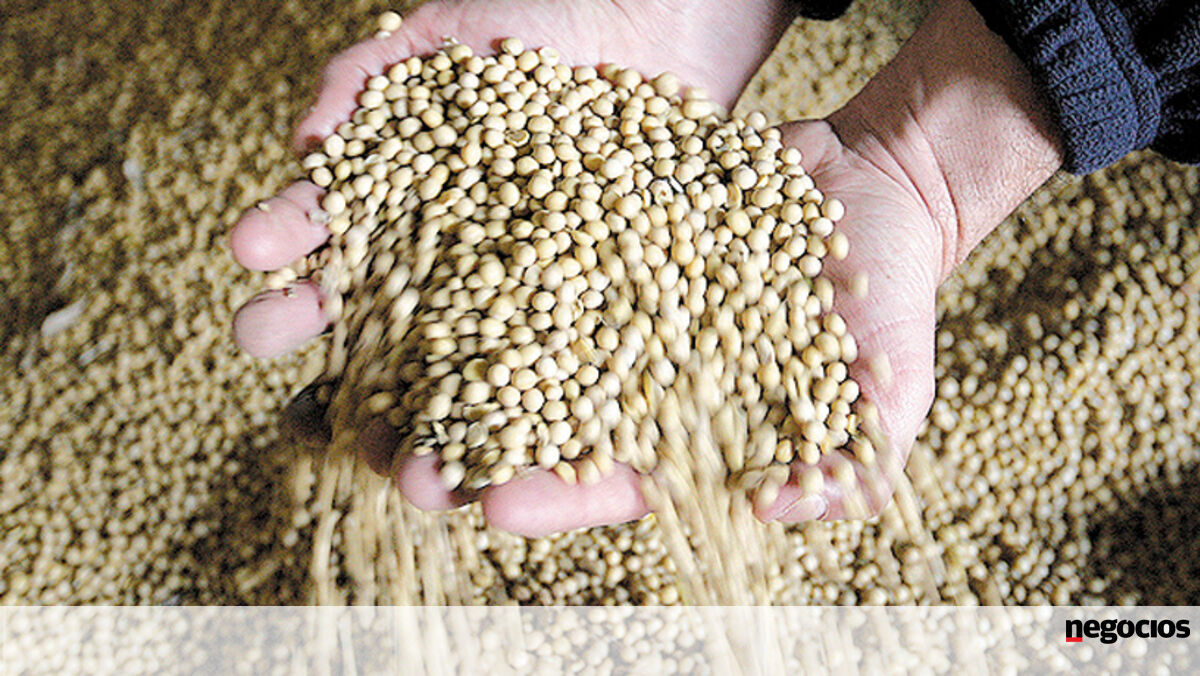 Protecionismo "ensombra" troca de bens agrícolas entre EUA e