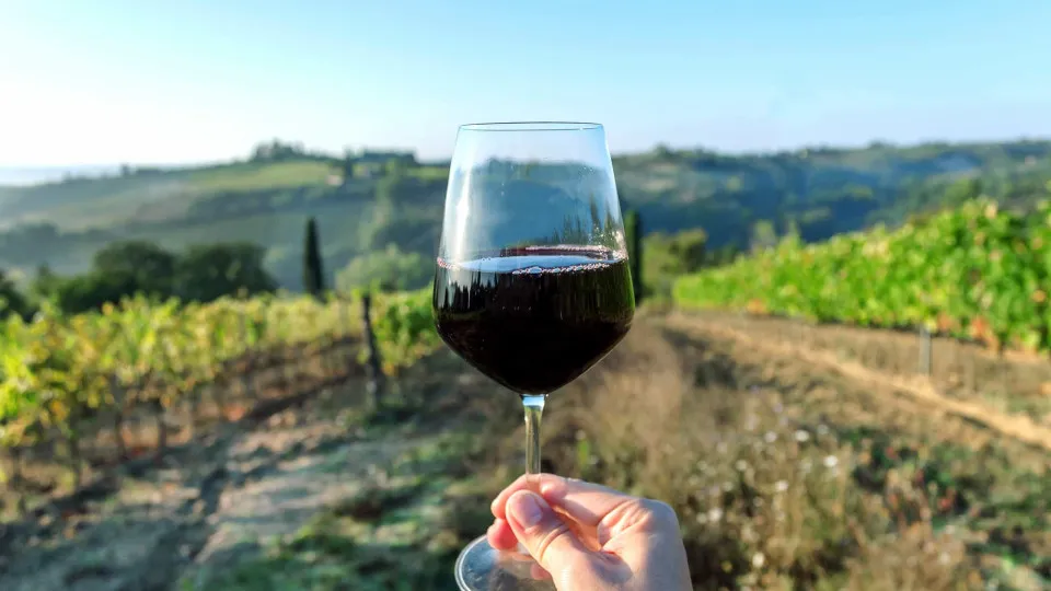 CAP: Recomposição do Conselho Interprofissional lesa