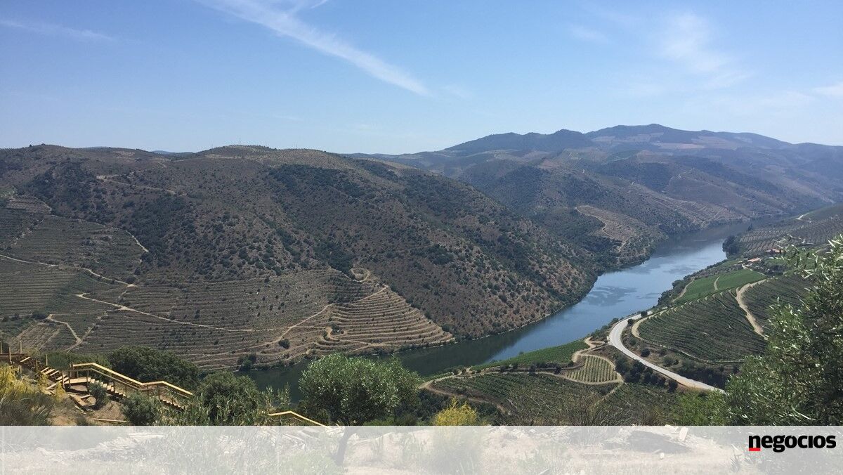 ASAE apreende 10 toneladas de uvas na Região Demarcada do