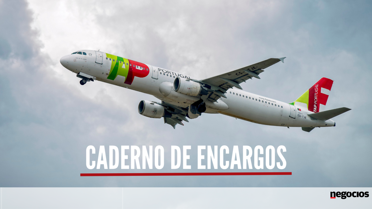 Afinal, o que diz o caderno de encargos da TAP? - Aviação