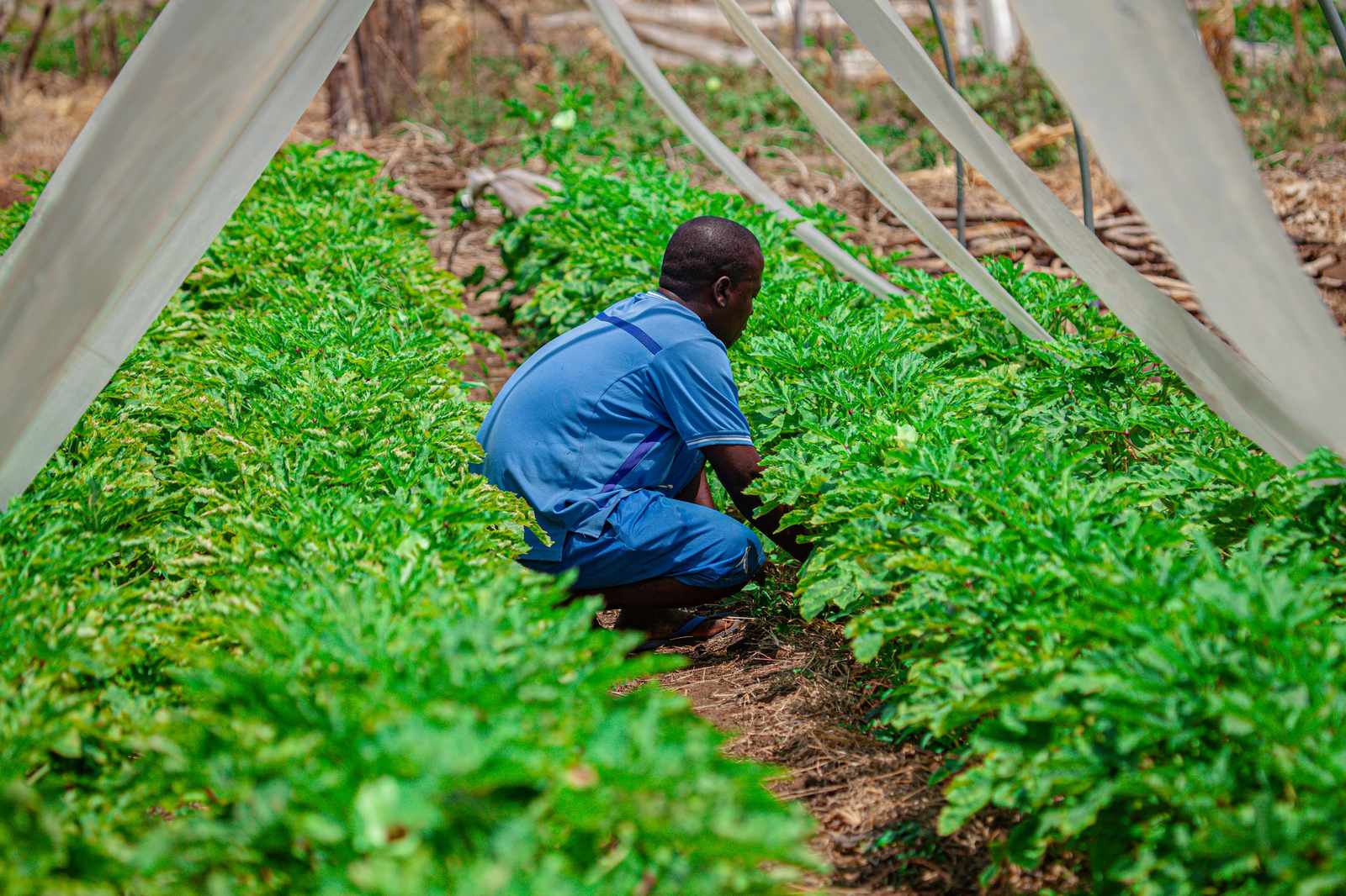 Alemanha Disponibiliza 45 M€ Para Financiar Projectos de