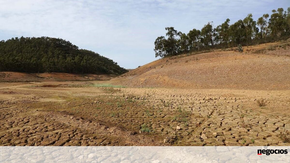 Austrália enfrenta riscos climáticos extremos, alerta novo