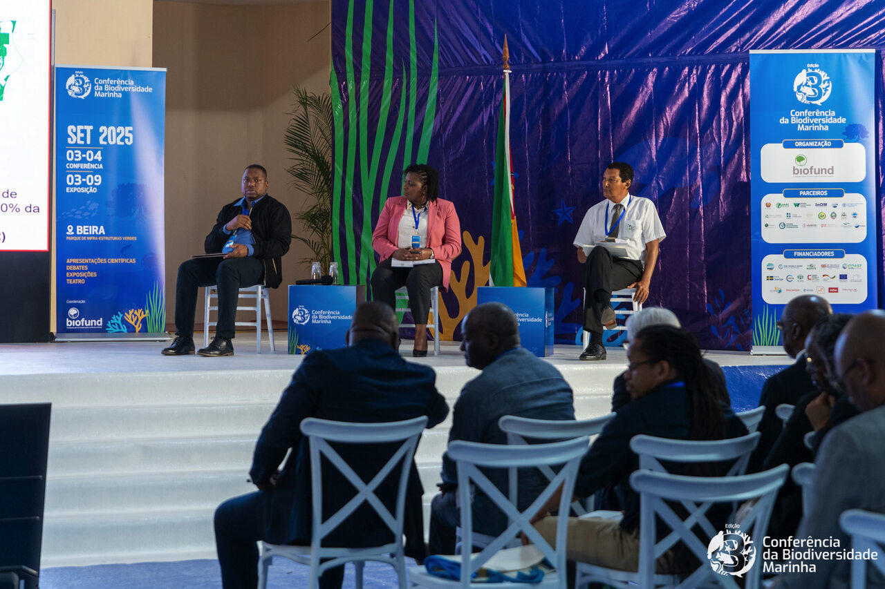 Autoridades Definem Estratégia Nacional Para Proteger Entre...