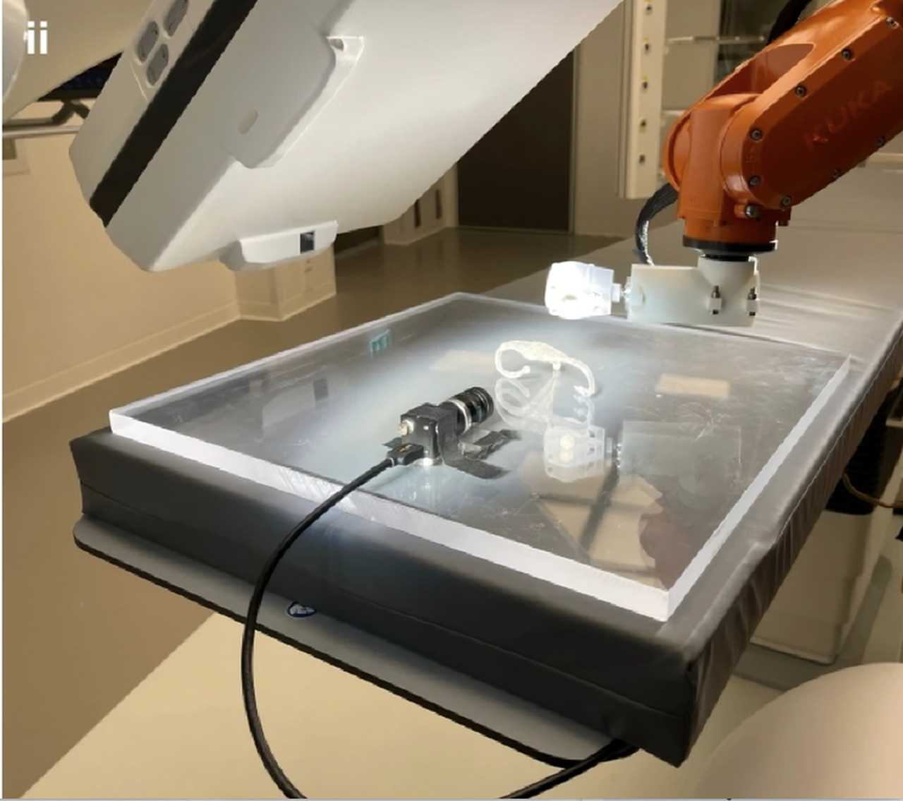 Cientistas Criam Microrrobôs a Partir de Esperma Humano...