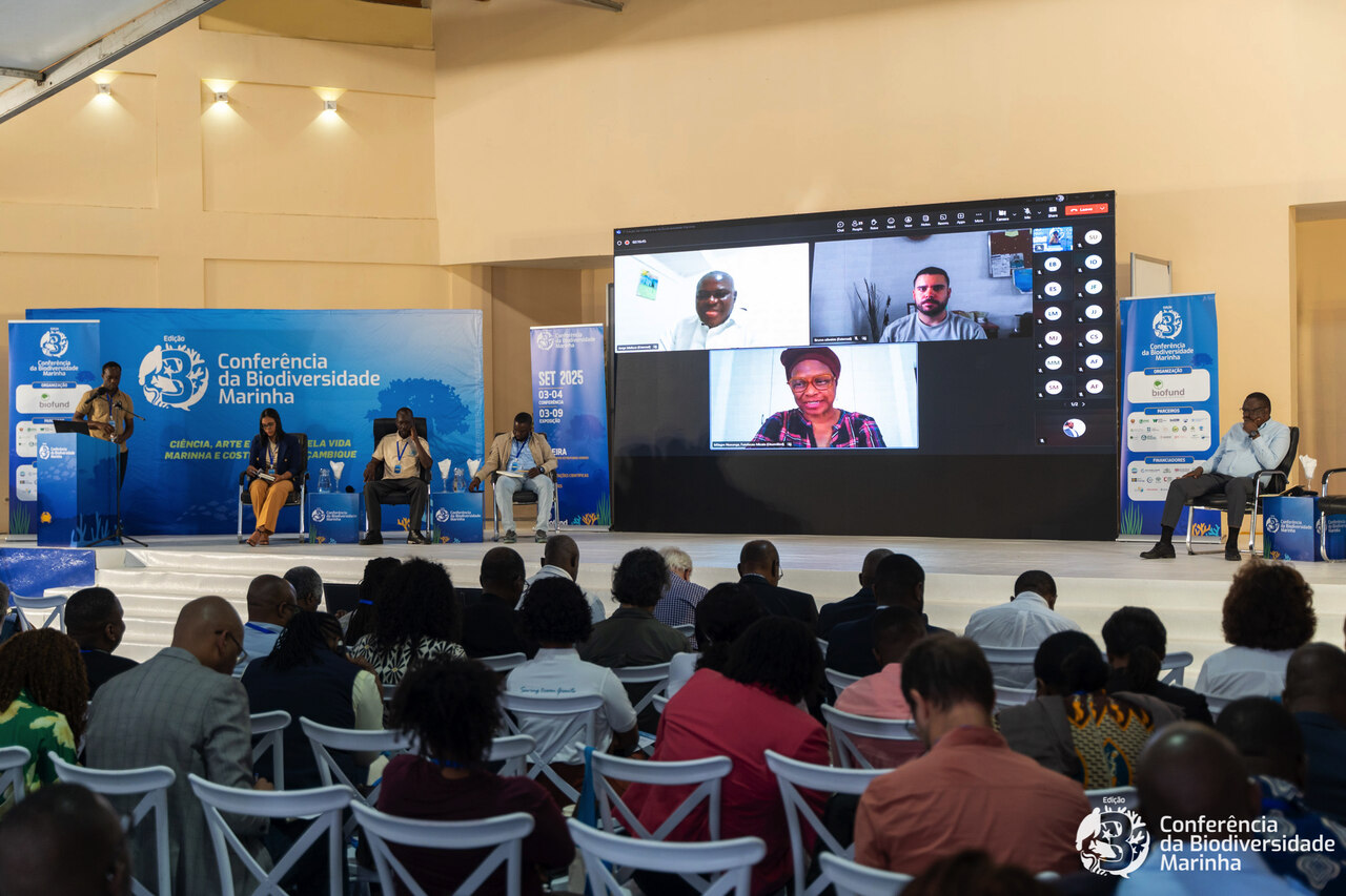 Estudantes e Jovens Investigadoras Defendem “Educação...