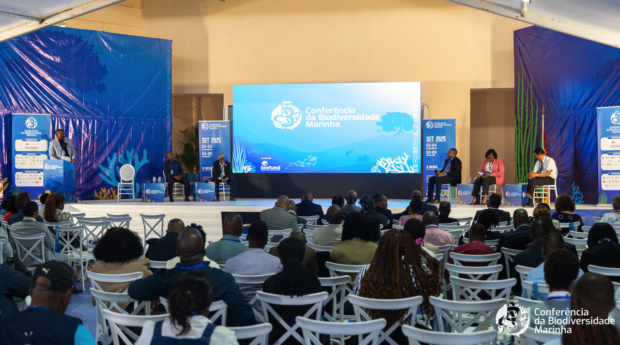 Estudos Pioneiros Apontam Para "Ameaças e Novas Descobertas"...