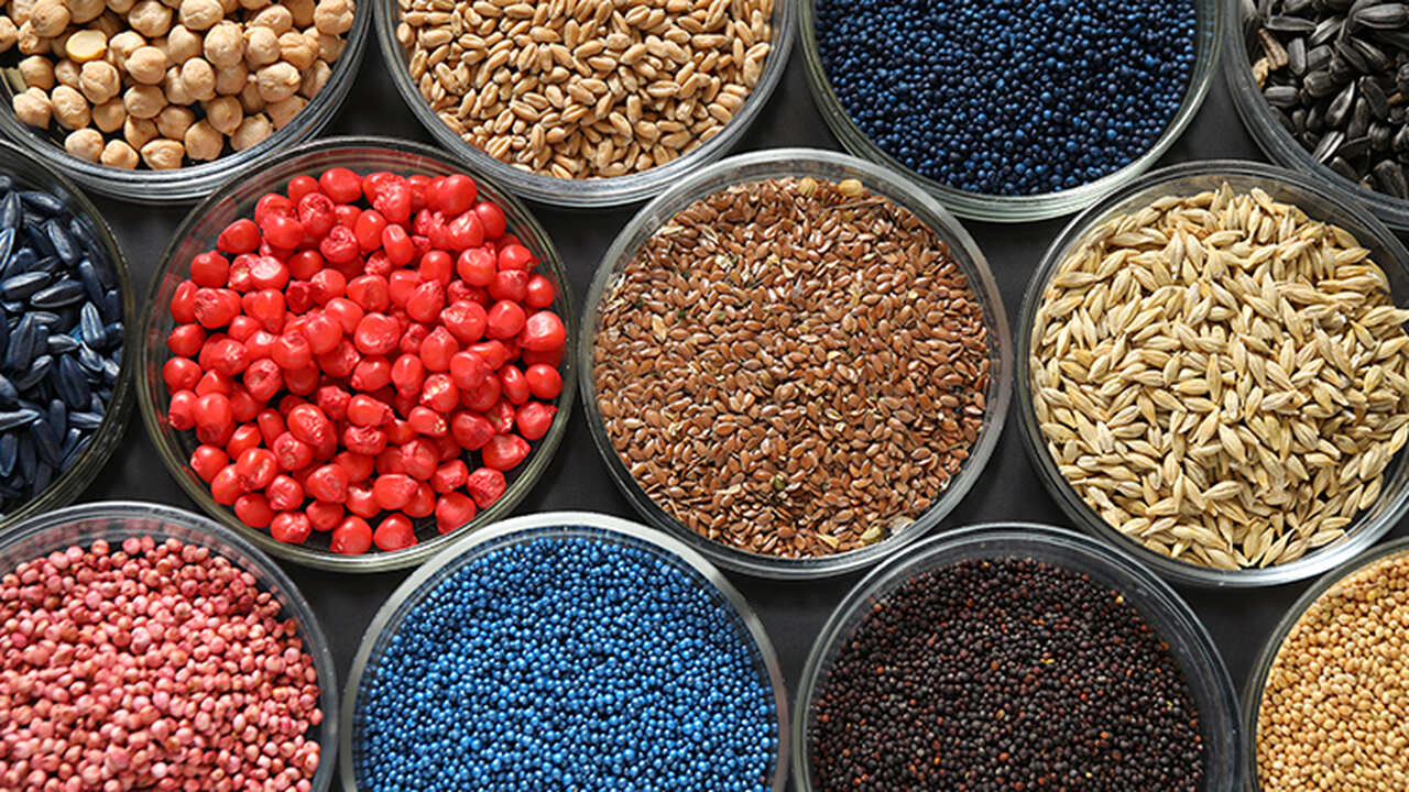 Governo Prevê Gastar Mais de um Milhão de Euros em...