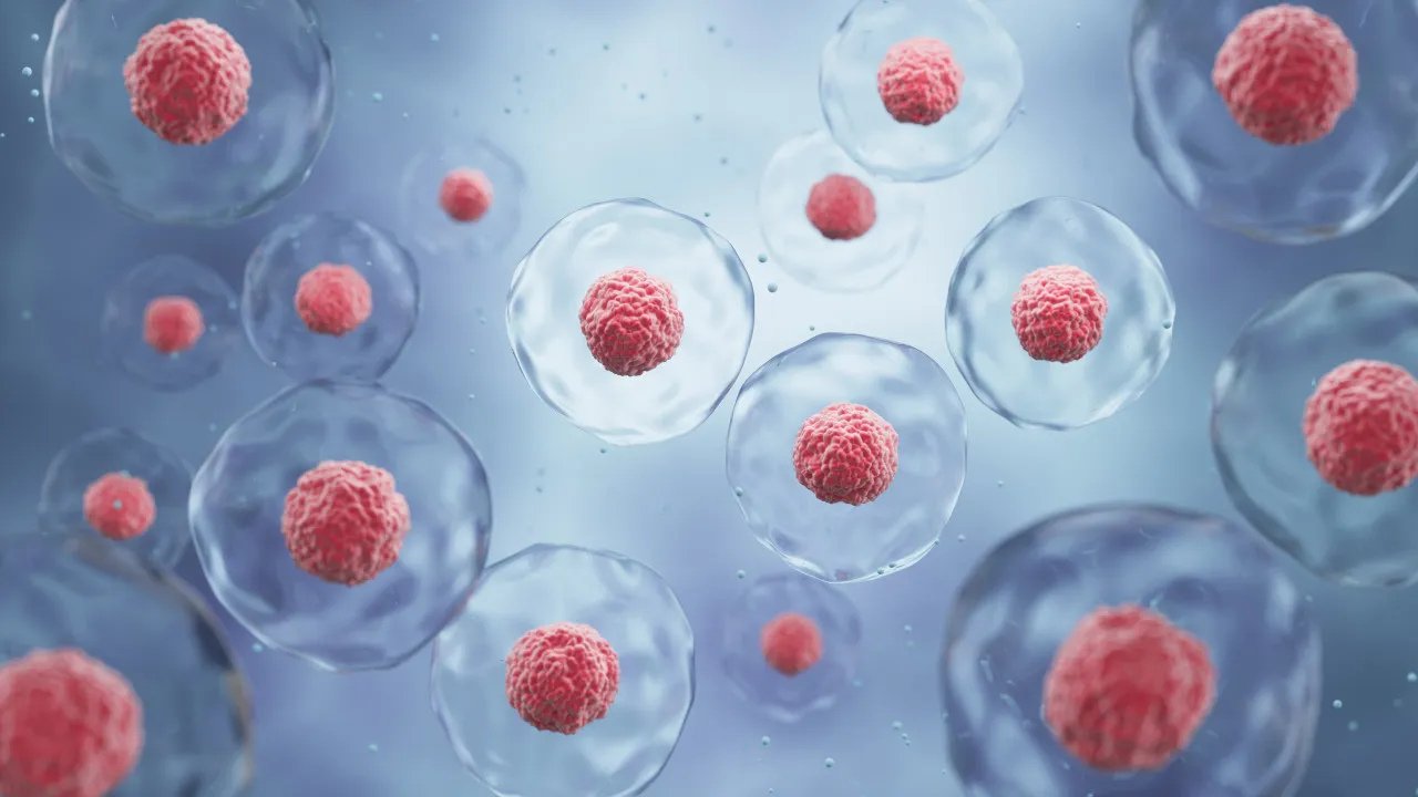 Investigadores Criam Terapia Inovadora Contra Tumores...