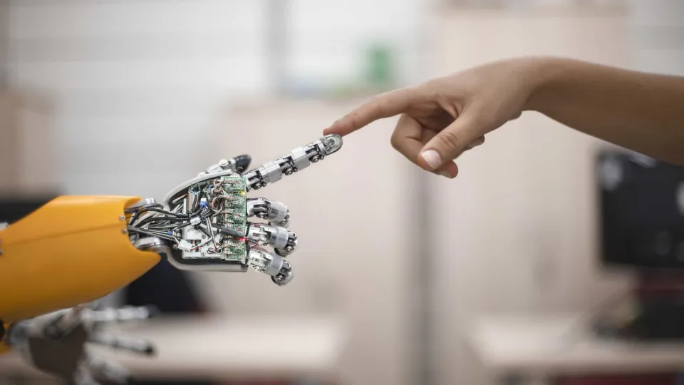 Investigadores de Coimbra criam músculos artificiais para...