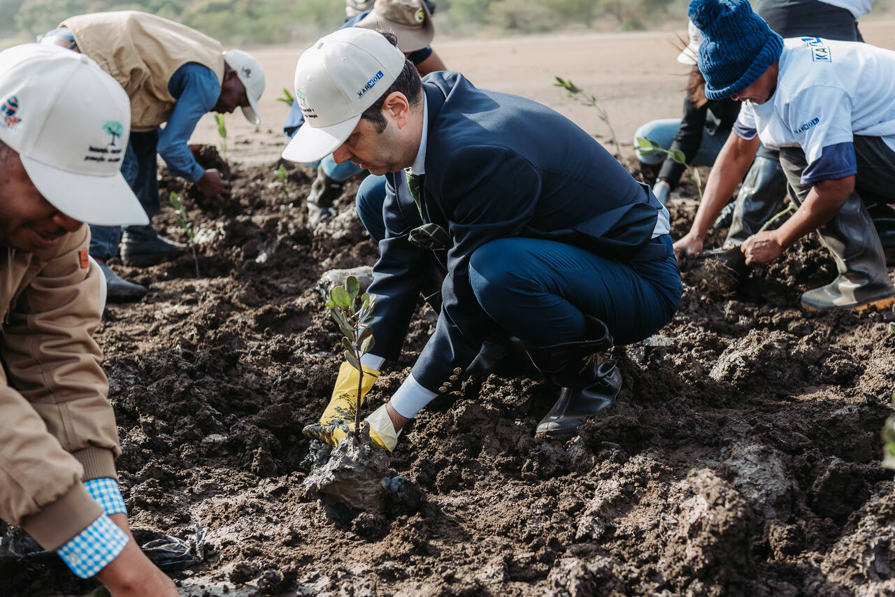 Karmol e Município Plantam Cinco Mil Mudas de Mangal na...